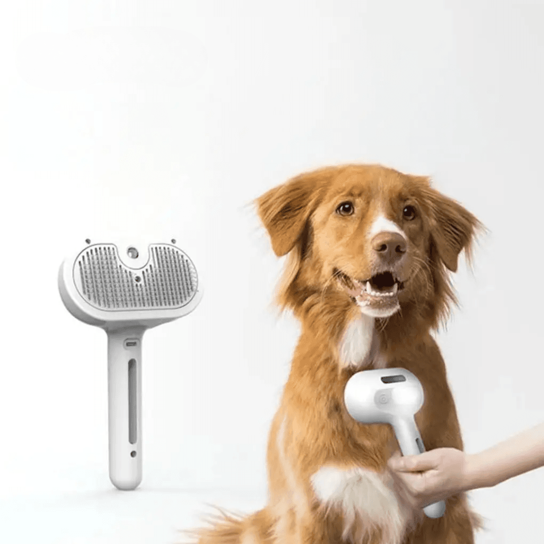 Luksusowa szczotka z parowym rozpylaczem dla psów 🐶